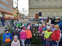 obrázek z fotogalerie